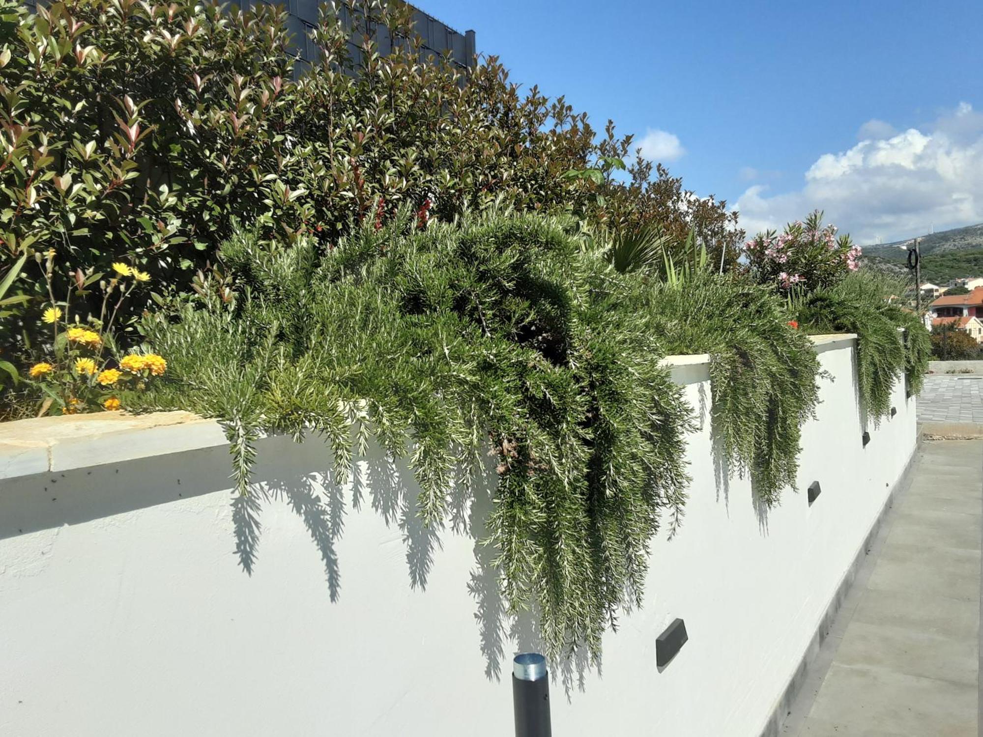 סגט ווראנייצה Villa Barbara & Zoran With Free Parking And Heated Swimming Pool מראה חיצוני תמונה